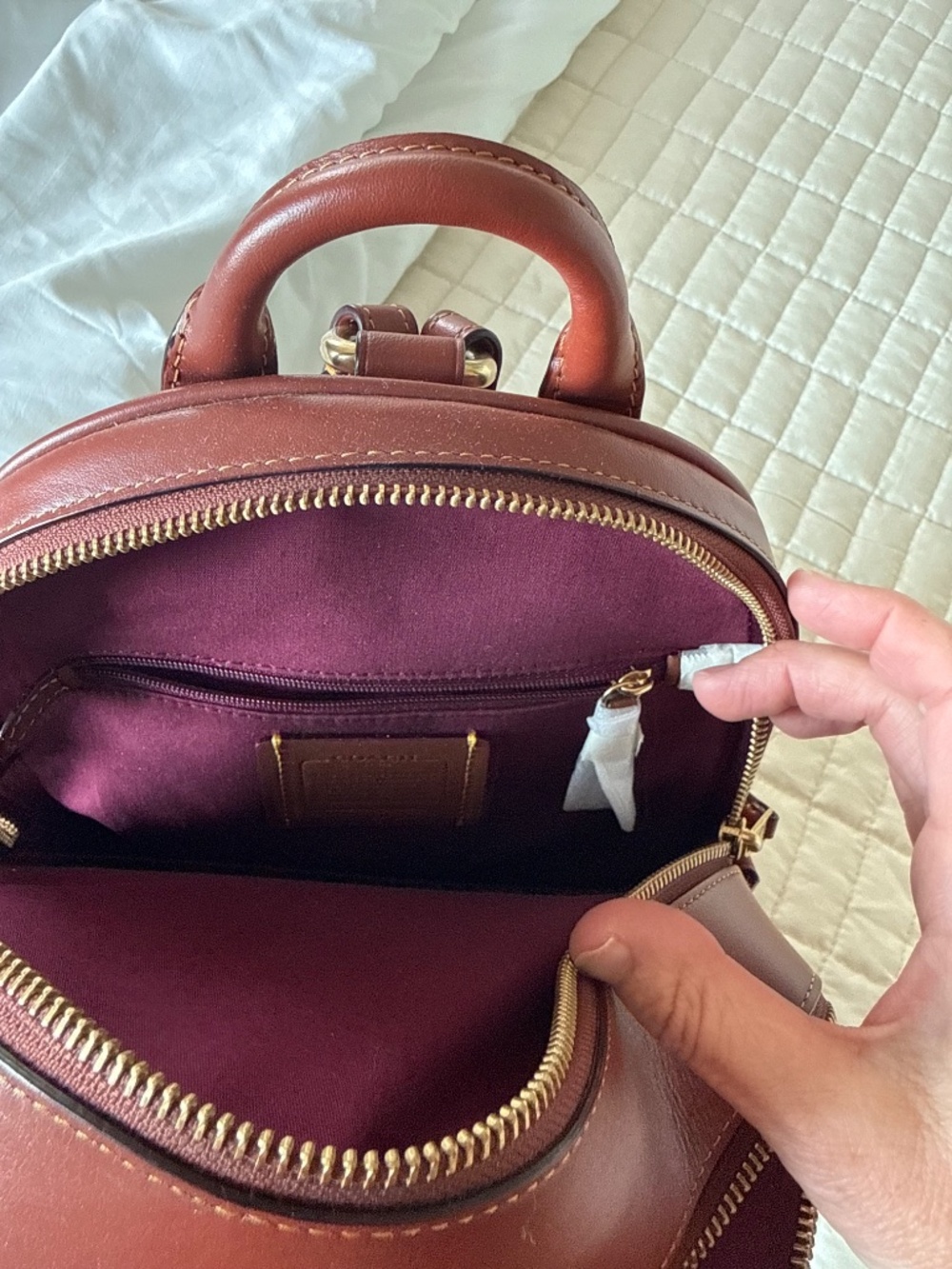 Coach Court Backpack in Signature Canvas - Picture 2 of 8